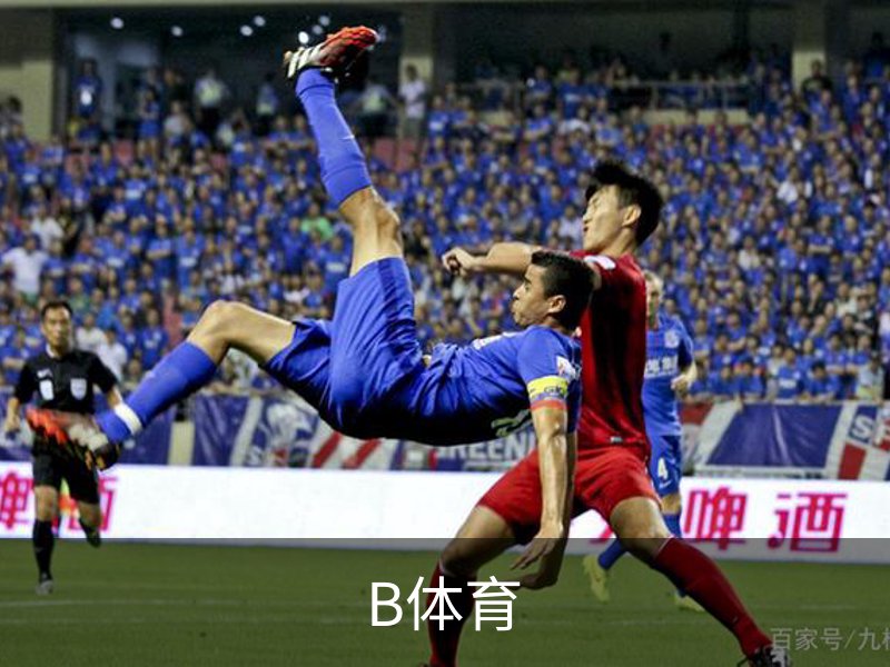 B体育简介